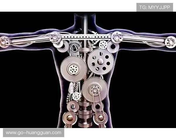 体育外卖服务带动便携器材供应链重构，轻量化设计需求凸显