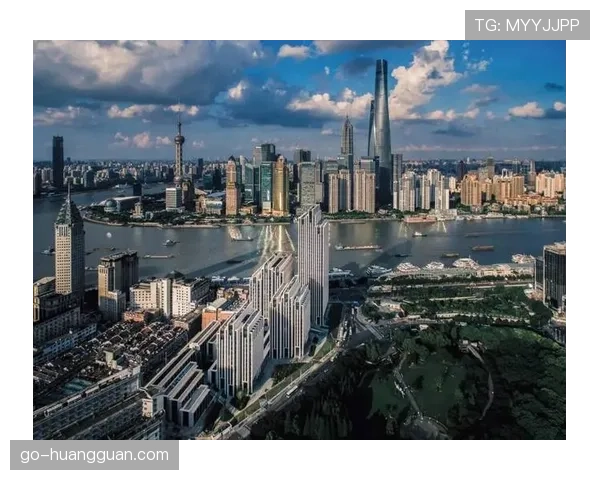 深度报道：AI模拟显示，三中卫体系在未来五年内使用率预计将上升15%